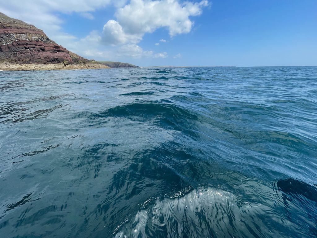 Linney head